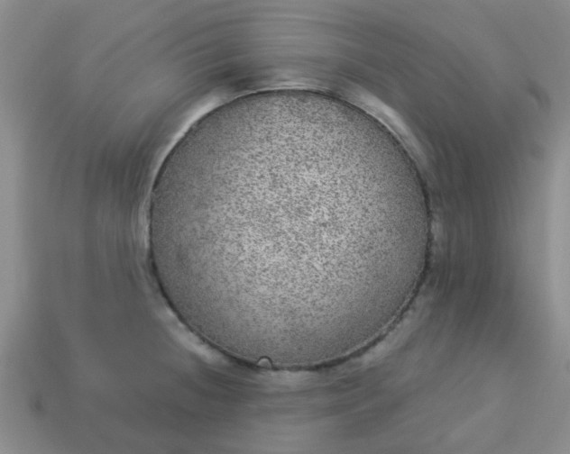 X0000114131236200910221457