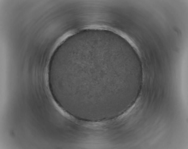 X0000114131237200910221457