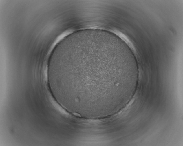 X0000114131238200910221457