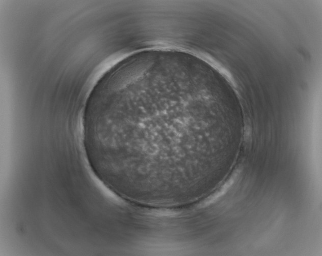 X0000114131239200910221458