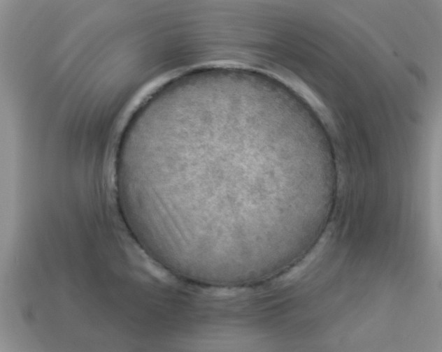 X0000114131240200910221458