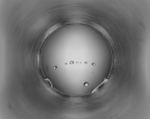 X0000114131242200910221458