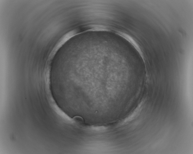 X0000114131243200910221458