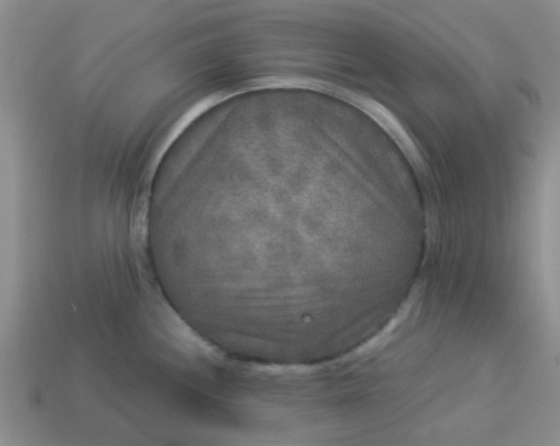 X0000114131244200910221458