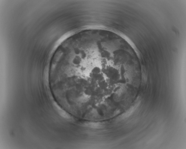 X0000114131245200910221458