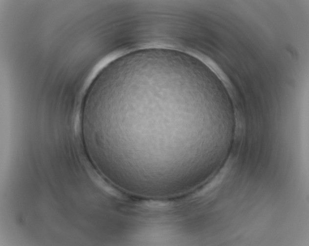 X0000114131246200910221458