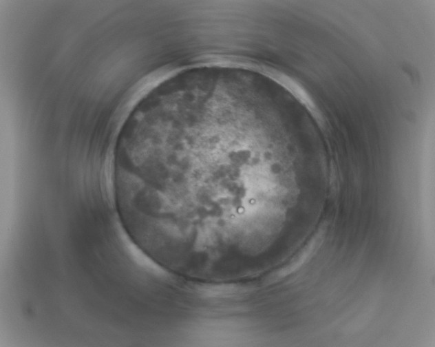 X0000114131247200910221458