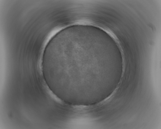 X0000114131248200910221458