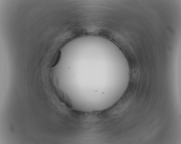 X0000114131249200910221457