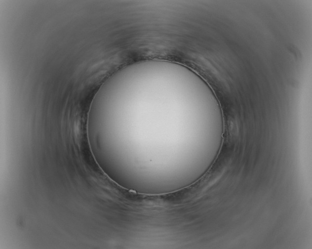 X0000114131250200910221457