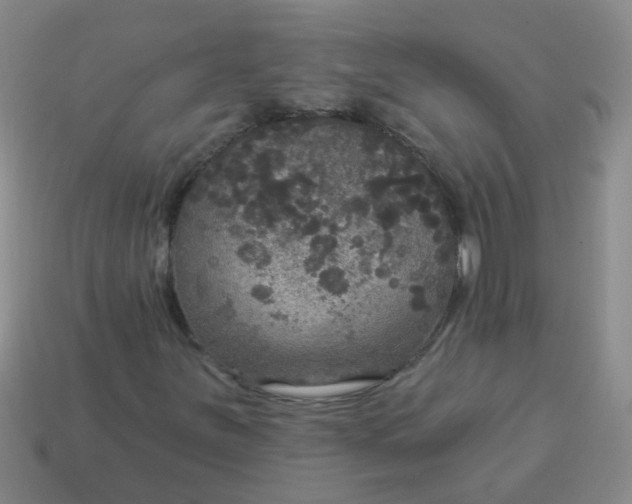 X0000114131251200910221457