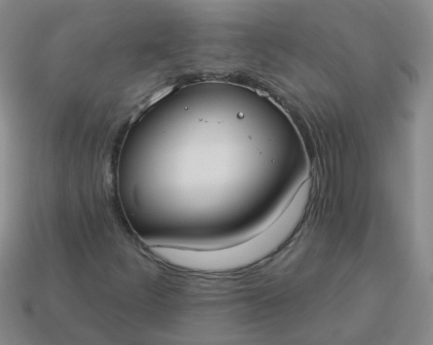 X0000114131252200910221457