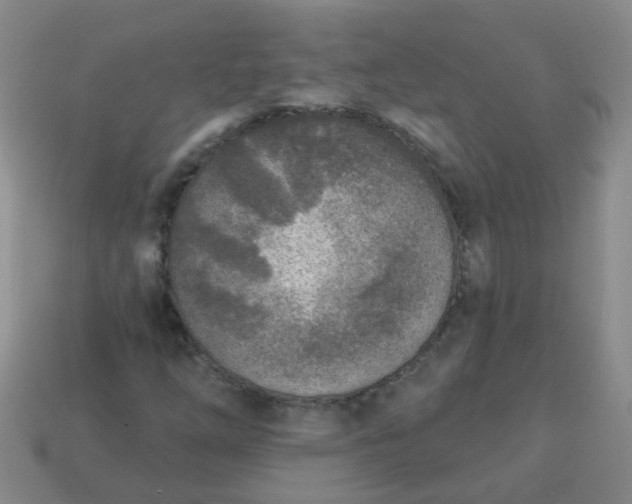 X0000114131254200910221457