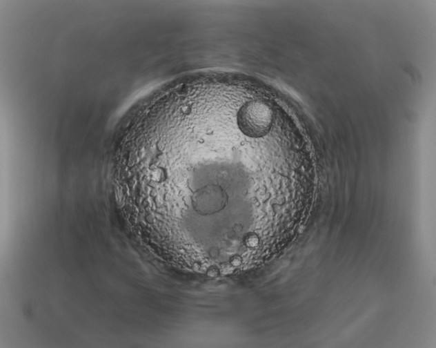 X0000114131255200910221457