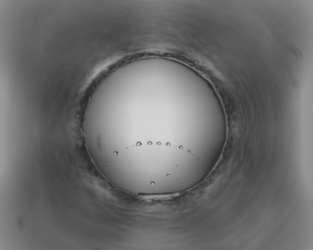 X0000114131256200910221457