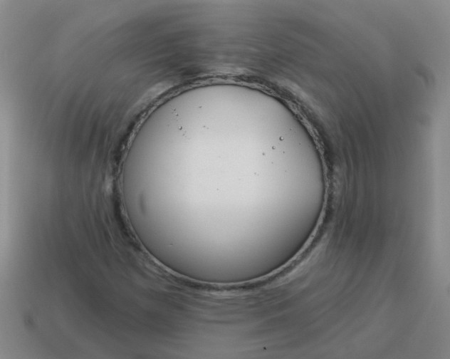 X0000114131257200910221457