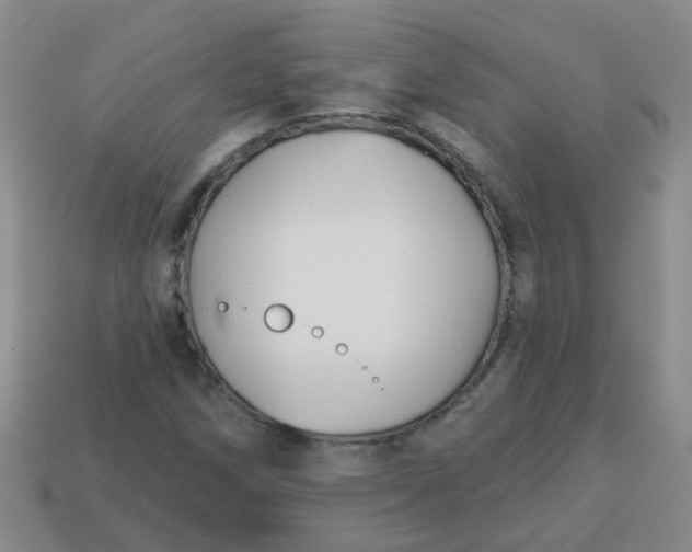 X0000114131258200910221457