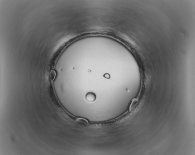 X0000114131259200910221457