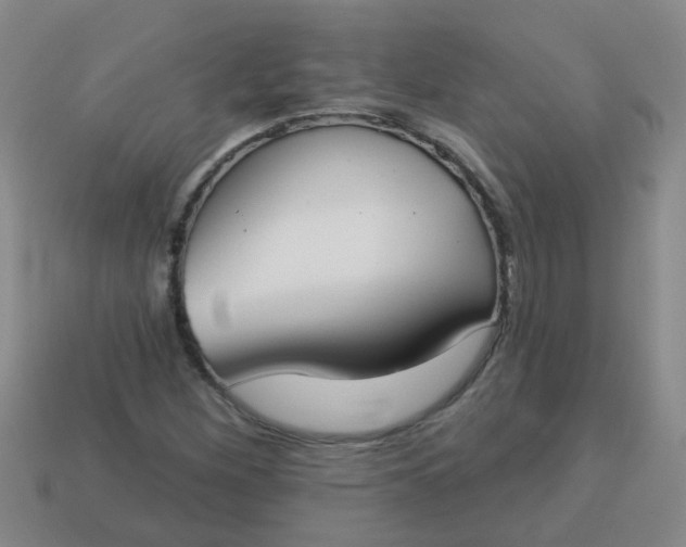 X0000114131260200910221457