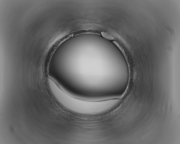 X0000114131261200910221457