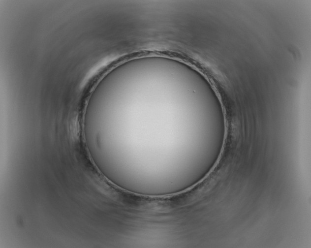 X0000114131262200910221457