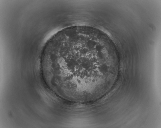 X0000114131263200910221457