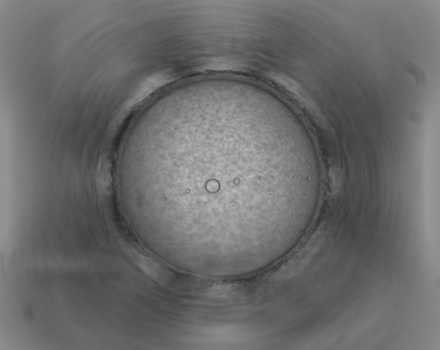 X0000114131266200910221457