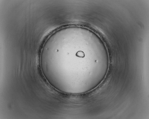 X0000114131267200910221457