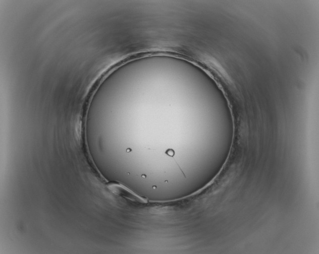 X0000114131268200910221457