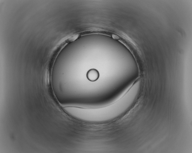 X0000114131269200910221457