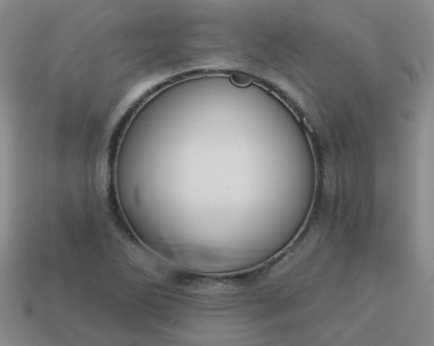 X0000114131270200910221457