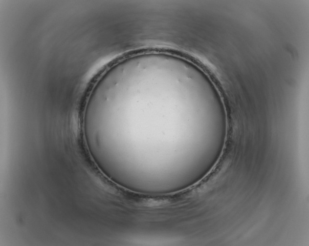 X0000114131271200910221457