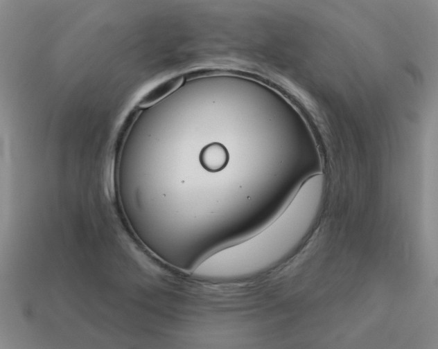 X0000114131272200910221457