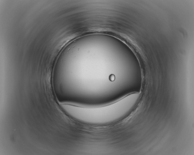 X0000114131273200910221457