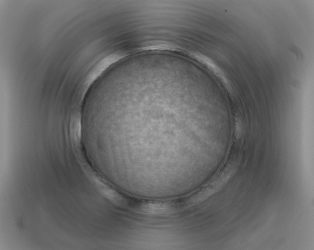 X0000114131274200910221457