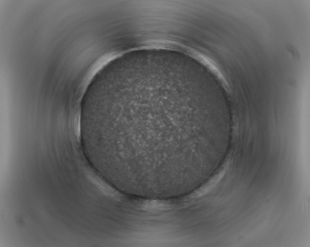 X0000114131275200910221457