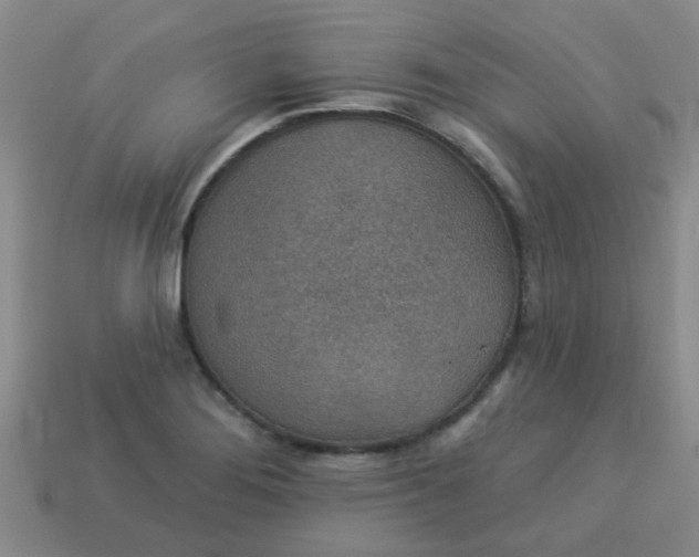 X0000114131276200910221457