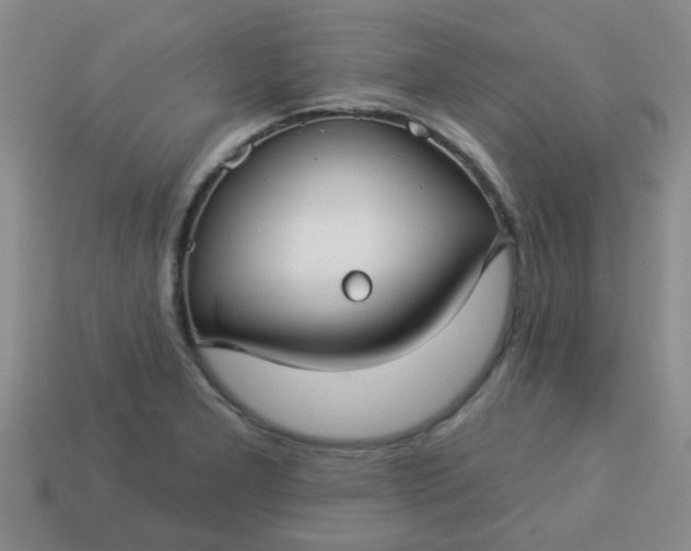 X0000114131277200910221457