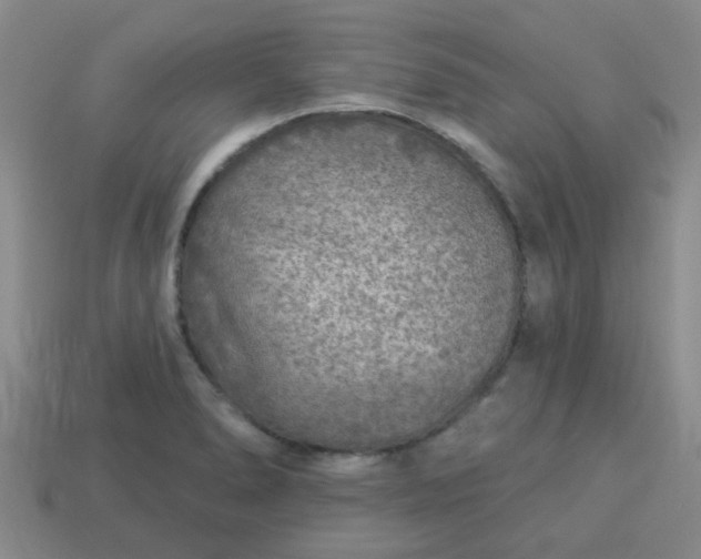 X0000114131278200910221457