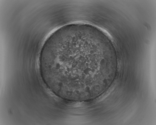 X0000114131279200910221457