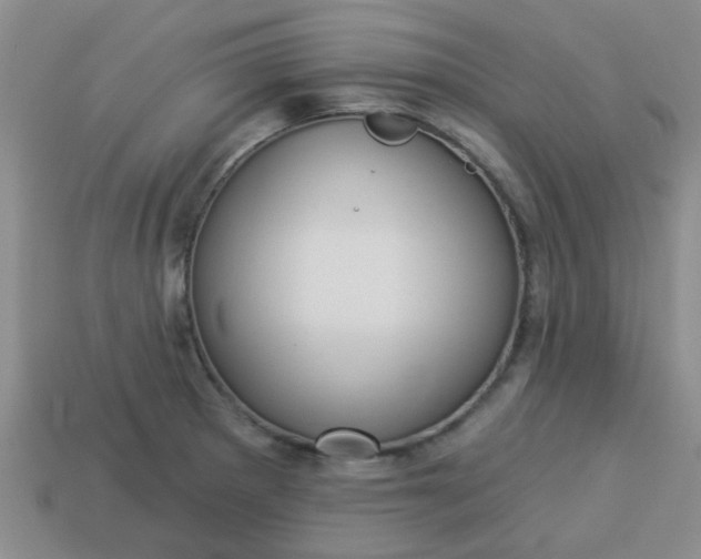 X0000114131281200910221457