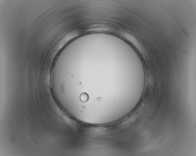 X0000114131282200910221457