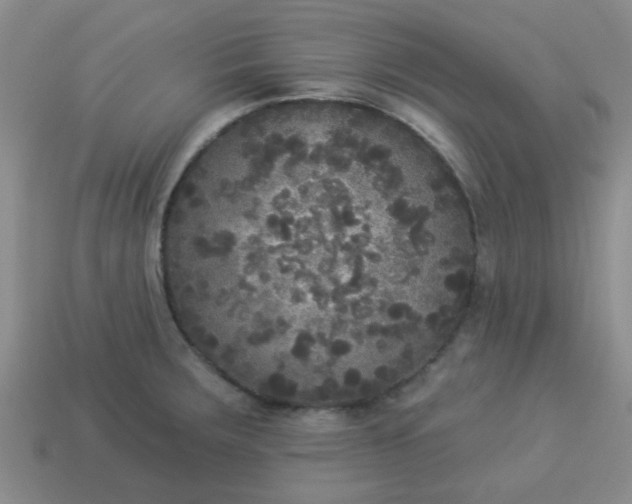 X0000114131283200910221457