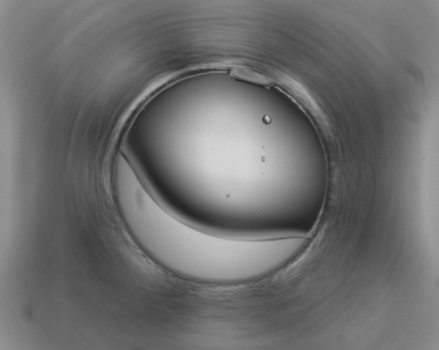 X0000114131284200910221457