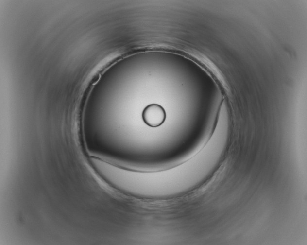 X0000114131285200910221457