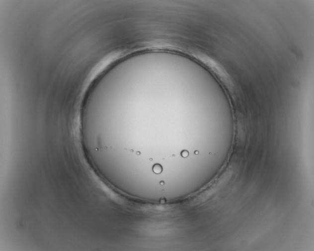 X0000114131286200910221457