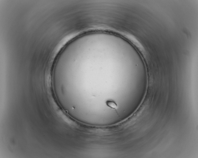 X0000114131287200910221457