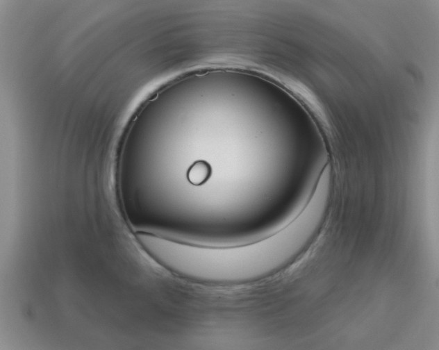 X0000114131288200910221457