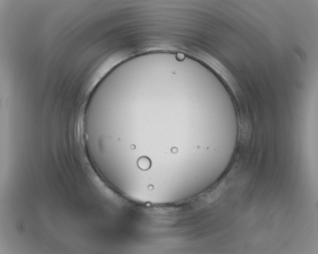 X0000114131290200910221456