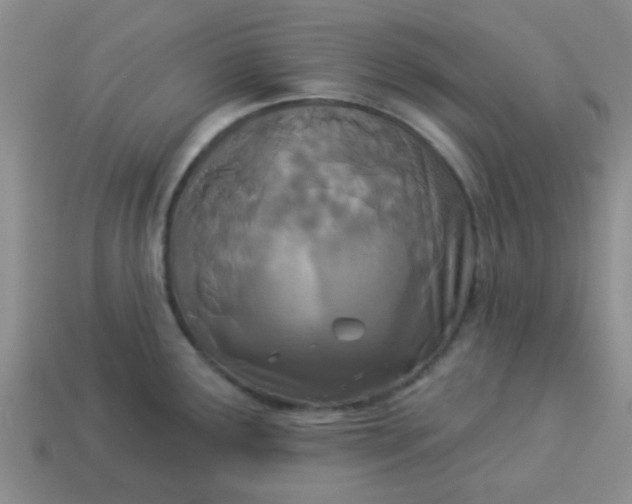 X0000114131291200910221456